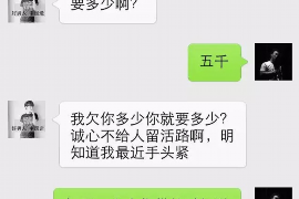 楚雄为什么选择专业追讨公司来处理您的债务纠纷？